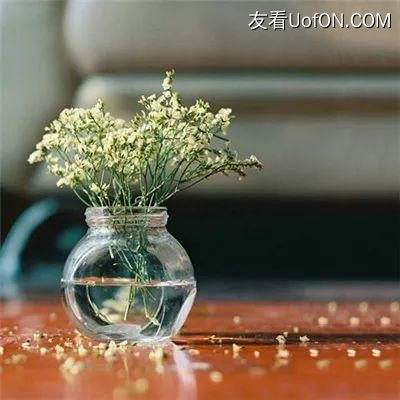萌姬无双九游版下载